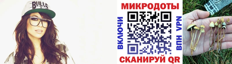 Галлюциногенные грибы мицелий блэк спрут зеркало Велиж